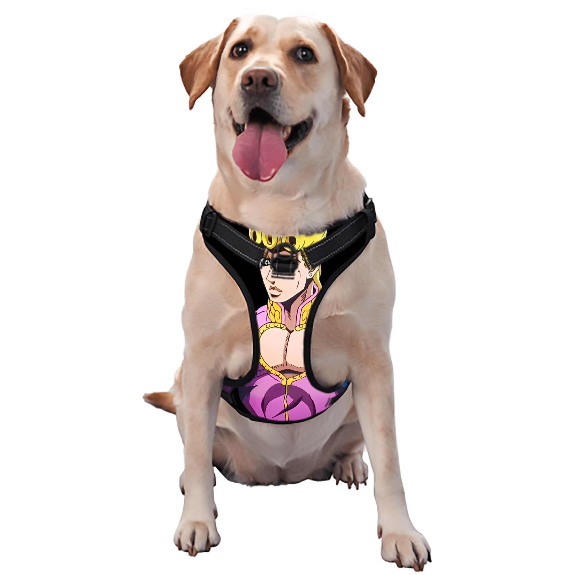 （画像用） ジョジョの奇妙な冒険 ジョルノ?ジョバァーナ JoJo's Bizarre Adventure Giorno Giovanna ペット用ハーネス